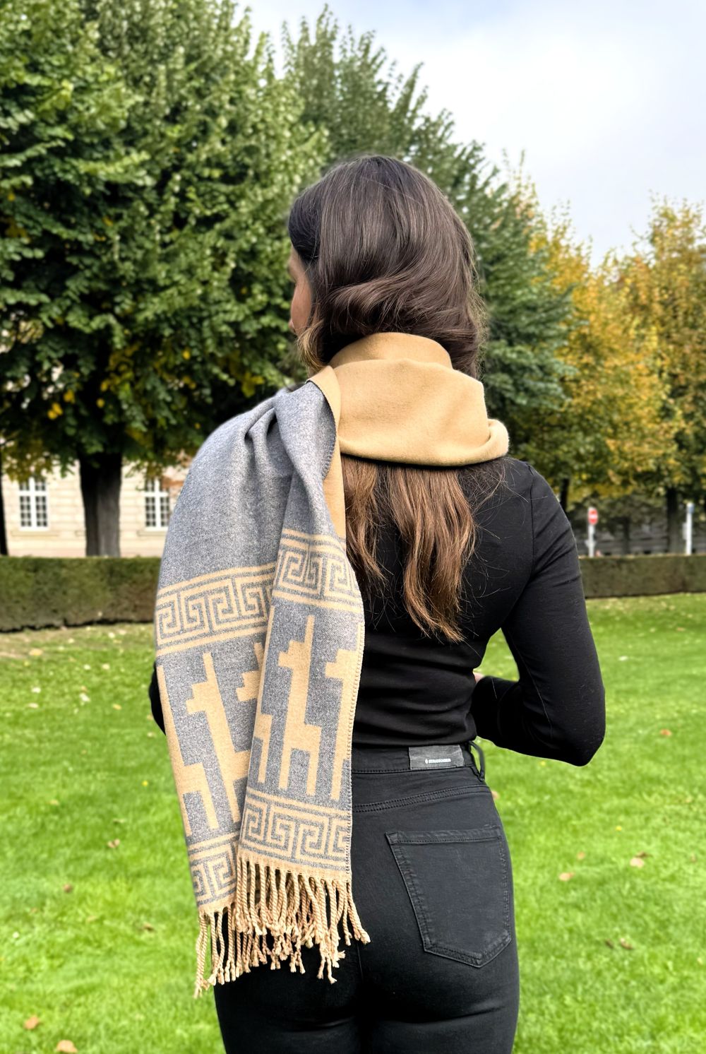 Polaire CAMEL GRIS-4_2