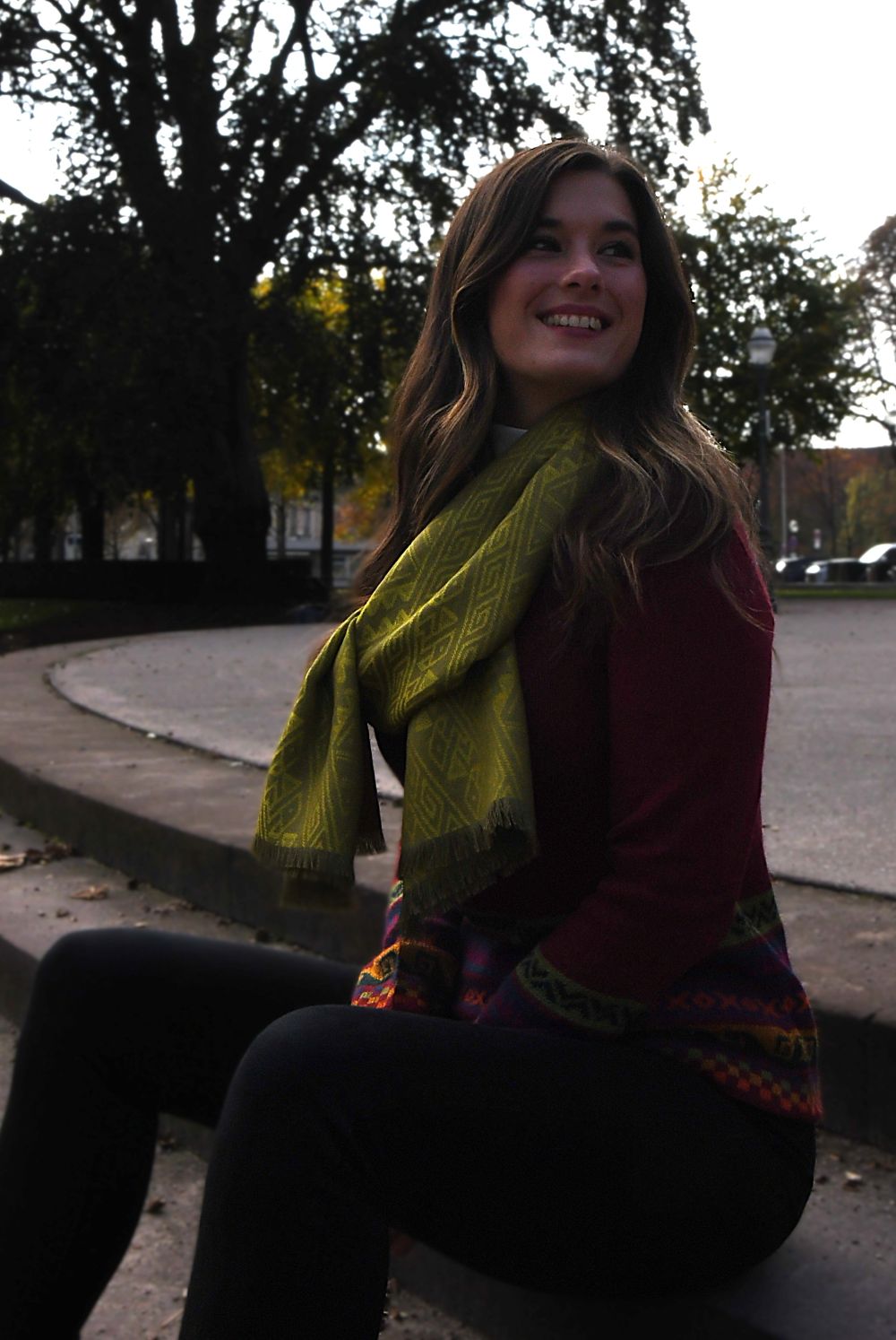 Vert-Jaune Soie Alpaga -3_2