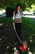 Silver Gray Baby Alpaca Pullover – Inca Borders | Andean Essence Collection - Image 4